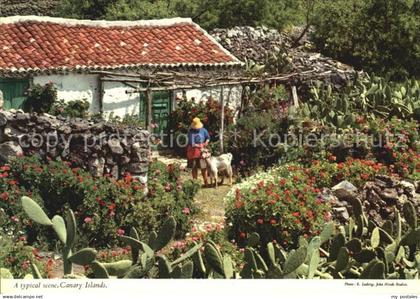 72518388 Islas Canarias Typical scene