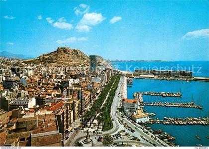 73259265 Alicante  Alicante