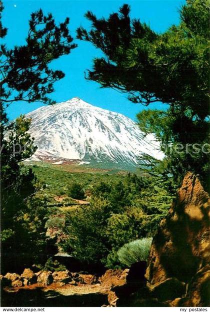 73286769 Tenerife Teide Tenerife