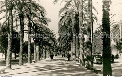 73786225 Palma de Mallorca Paseo de Sagrera Palma de Mallorca