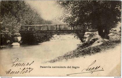 Pasarella nacimiento del Segre