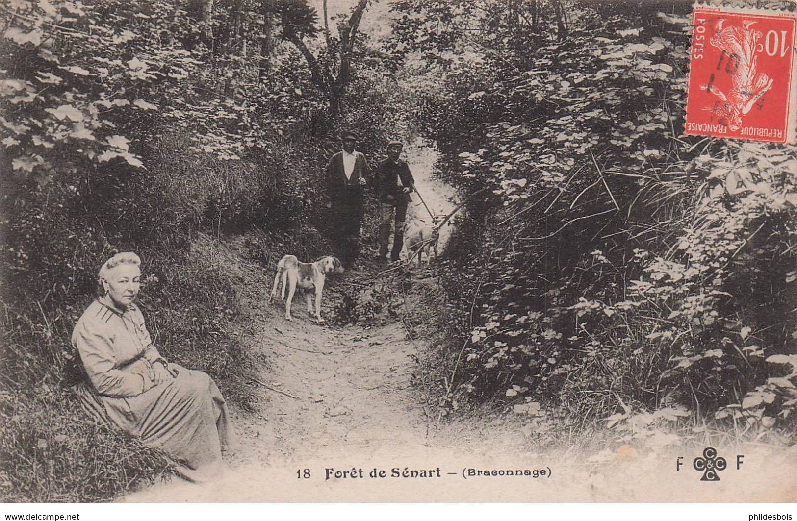 ESSONNE  SENART  Foret de Sénart  ( braconnage )