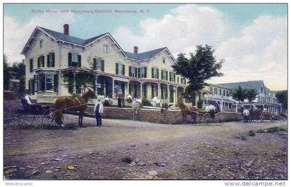 U.S.A. - BUTTS HOTEL AND BARRYMORE, CASTKILLS MOUNTAINS, N. Y.