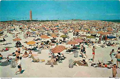 Etats Unis - Long Island - Jones Beach State Park - CPM - Voir Scans Recto-Verso