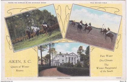 USA - South Carolina - AIKEN - FERMATA ECOLE POLO EQUITATION