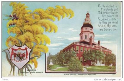 Maryland State Capitol Building , State Flower Golden Rod, Annapolis MD on c1910s Vintage  Postcard