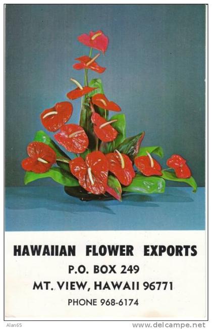 Mt. View Hawaii HI, Flower Export Advertisement on c1960s Vintage Postcard