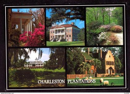 AK 126024 USA - South Carolina - Charleston Plantations