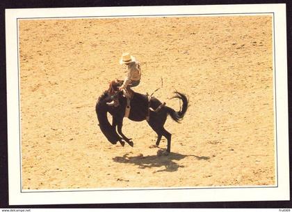 AK 022486 USA - Wyoming - Cheyenne - Rodeo