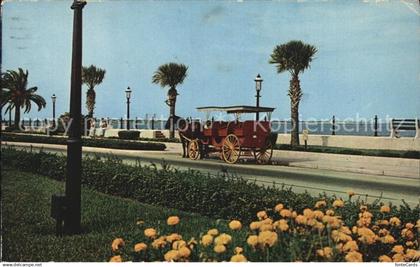 72449761 St Augustine Sightseeing Carriage