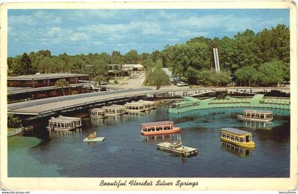 Florida Silver Springs