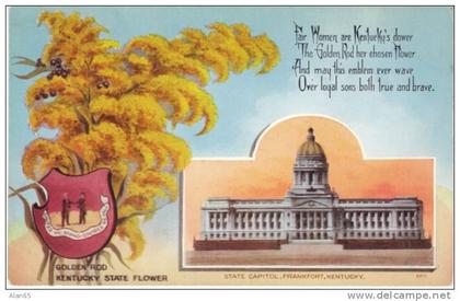 Kentucky State Capitol Building , State Flower Golden Rod, Frankfort KY on c1910s Vintage  Postcard