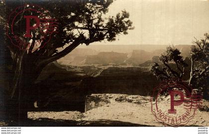 RPPC GRAND CAÑYON