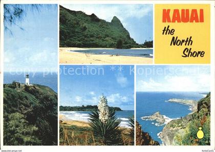 72369314 Hawaii US-State Nordkueste Kauai Leuchtturm Strand