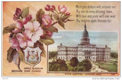 Michigan State Capitol Building , State Flower Apple Blossom, Lansing MI on c1910s Vintage  Postcard