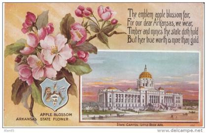 Little Rock AR Arkansas, State Capitol Building, State Flower Apple Blossom, Emblem, c1910s Vintage Postcard