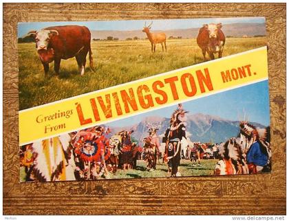 Livingston - Montana  - PU 1960  F   D12945