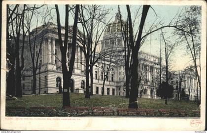 71031818 Harrisburg Pennsylvania State Capitol Throuch the Trees Harrisburg Penn