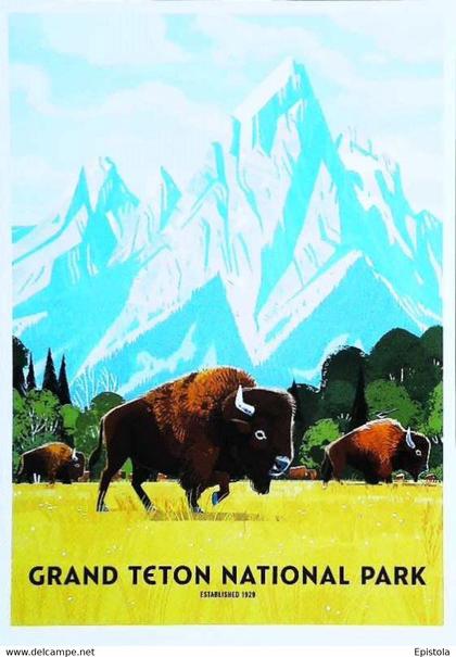 ► GRAND TETON   - NATIONAL PARK -  Wyoming Buffalo