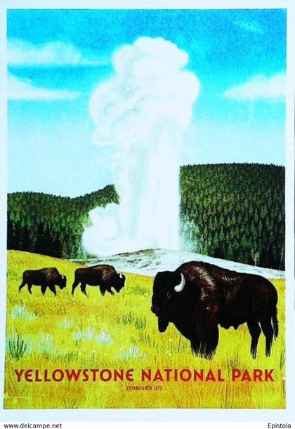 ► YELLOWSTONE   - NATIONAL PARK - Buffalo  Wyoming Montana Idaho