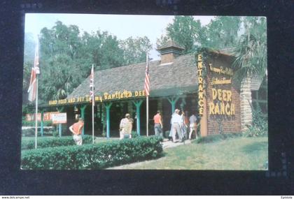 ► SILVER SPRINGS - Tommy Bartlett's Deer Ranch - 1960s