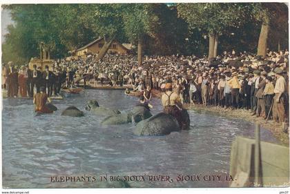 SIOUX CITY, IA - Elephants in Big Sioux River