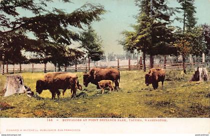 TACOMA (WA) Buffaloes at Point Defiance Park