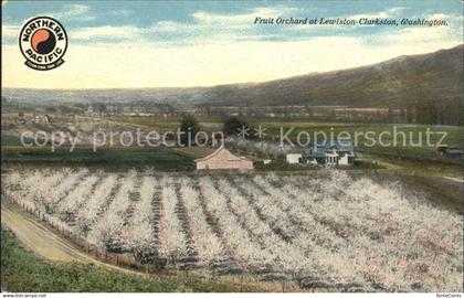 11881824 Clarkston_Washington Fruits Orchard at Lewiston