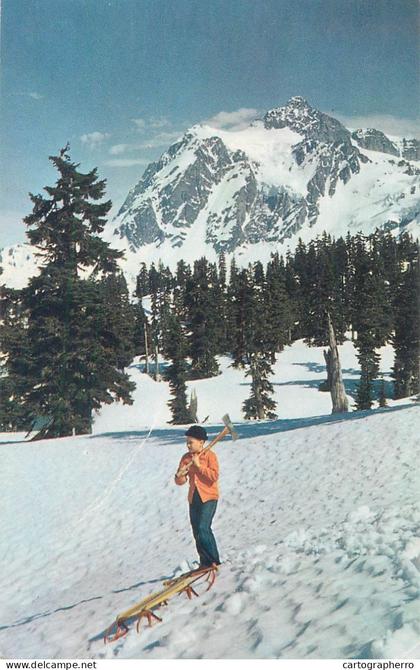 Postcard US United States WA Washington Mt. Shuksan Mt. Baker forest 1959