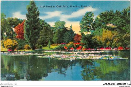 AETP9-USA-0762 - WICHITA - KANSAS - lily pond in oak park