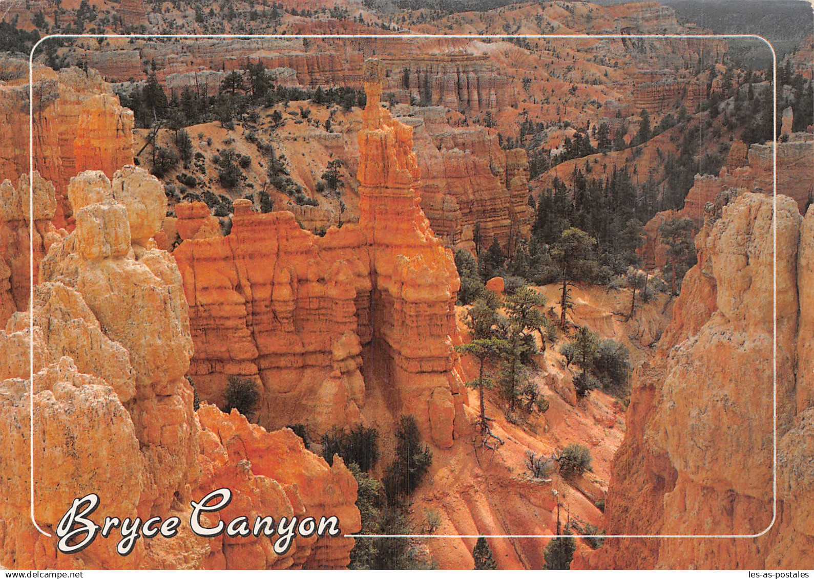 ETATS UNIS BRYCE CANYON BRYCE CANYON NATIONAL PARK