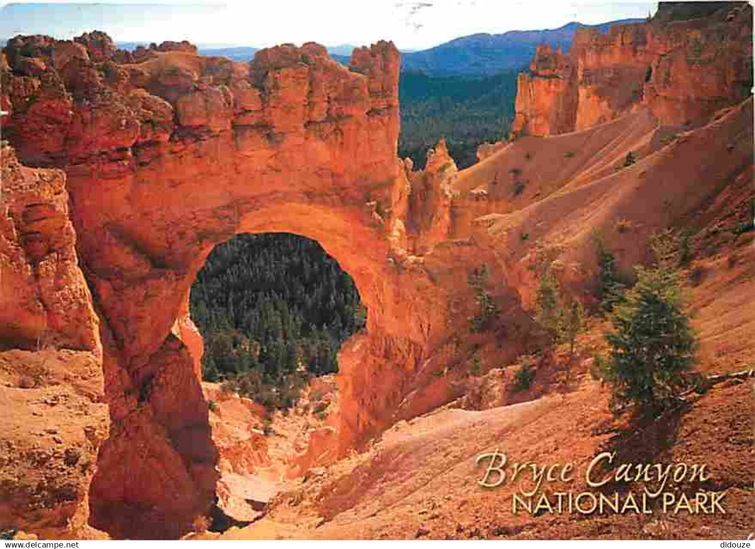 Etats Unis - Bryce Canyon - National Park - CPM - Voir Scans Recto-Verso