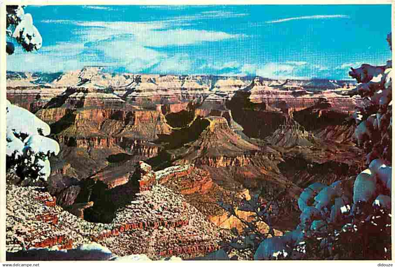 Etats Unis - Grand Canyon - Grand Canyon National Park - CPM - Voir Scans Recto-Verso