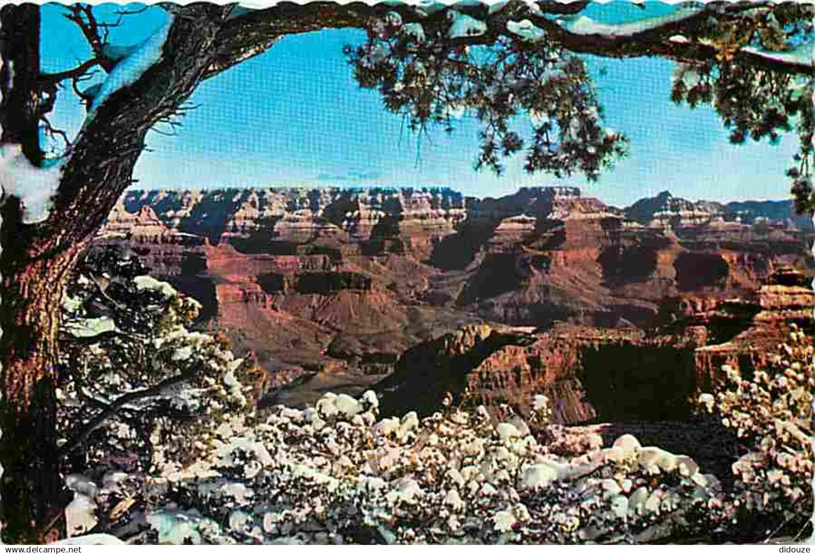 Etats Unis - Grand Canyon - Grand Canyon National Park - CPM - Voir Scans Recto-Verso