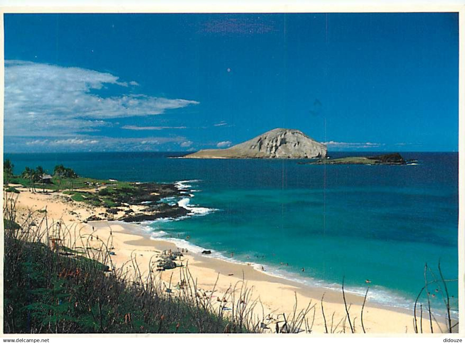 Etats Unis - Hawaï - Oahu - Makapuu Beach - Etat de Hawaï - Hawaï State - CPM - Voir Timbre - Voir Scans Recto-Verso