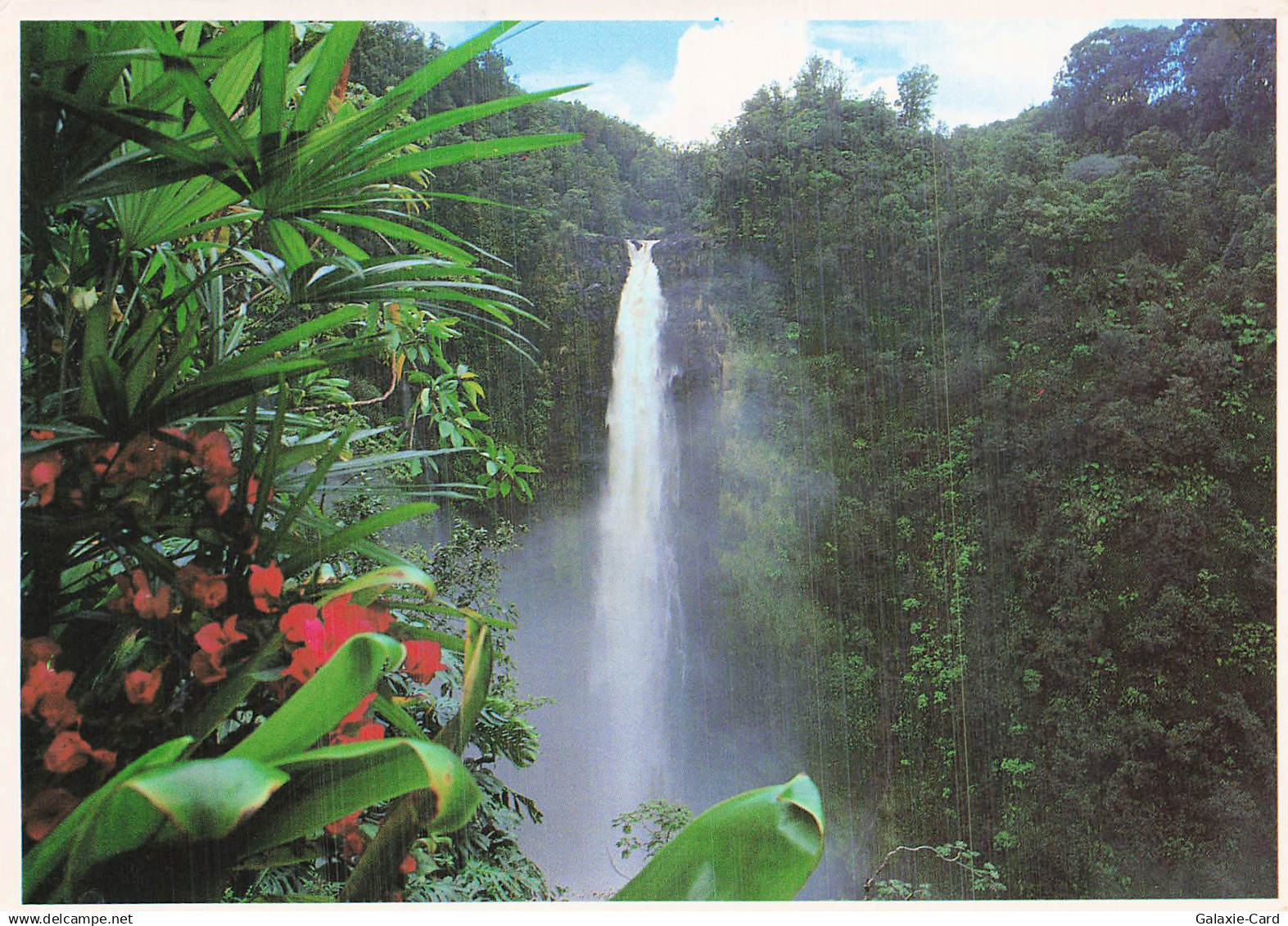 ETATS UNIS HILO AKAKA FALLS