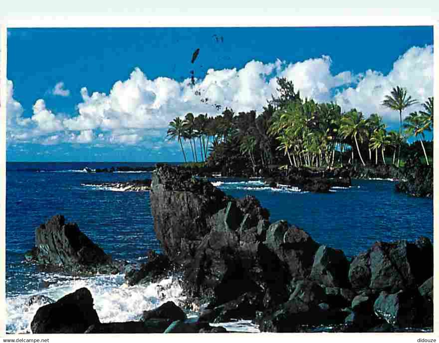 Etats Unis - Maui - Maui-s beautiful on of many faces - CPM - Voir Scans Recto-Verso