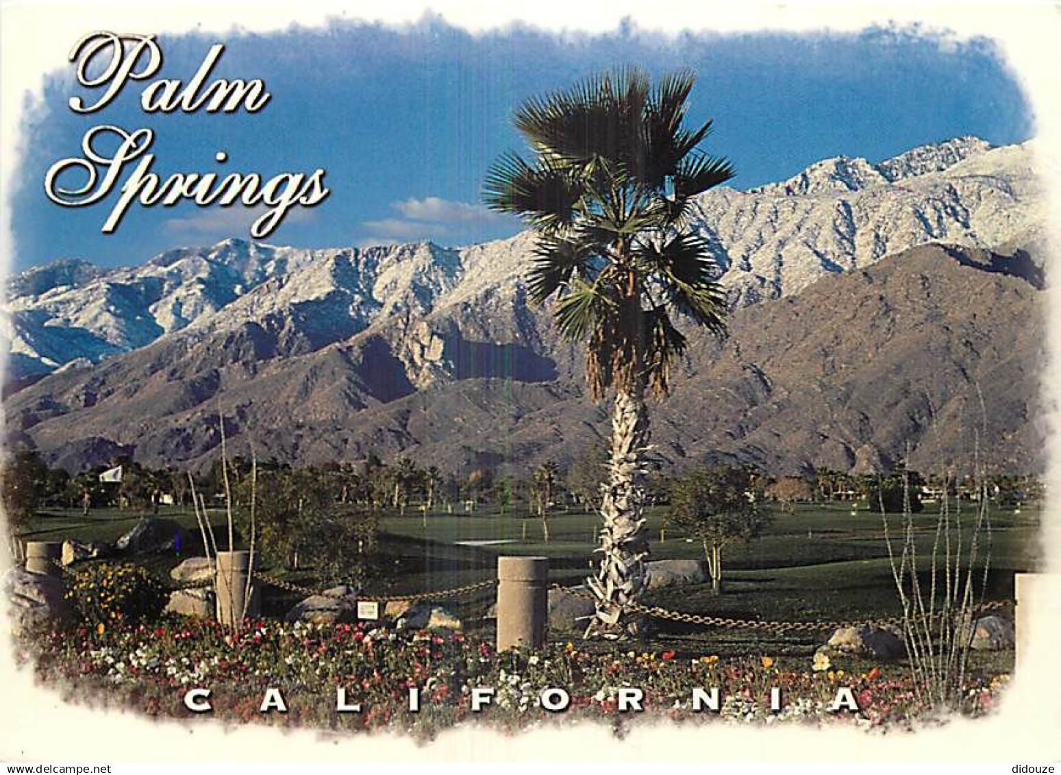 Etats Unis - Palm Springs - Mesquite Country Club - Etat de Californie - California State - CPM - Carte Neuve - Voir Sca