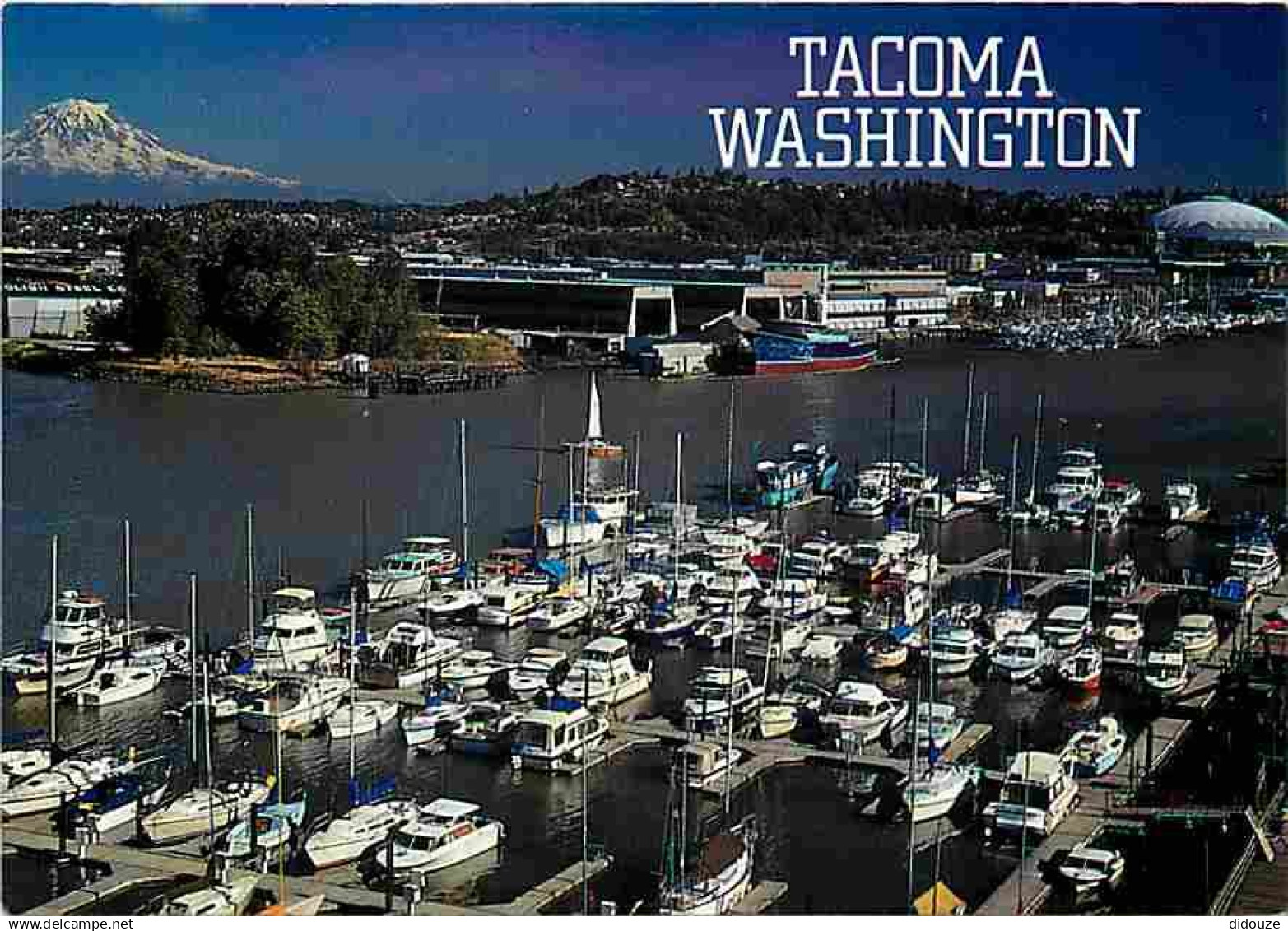 Etats Unis - Tacoma - Pictured is one of the many small marinas that dot the Tacoma Waterways - CPM - Voir Scans Recto-V