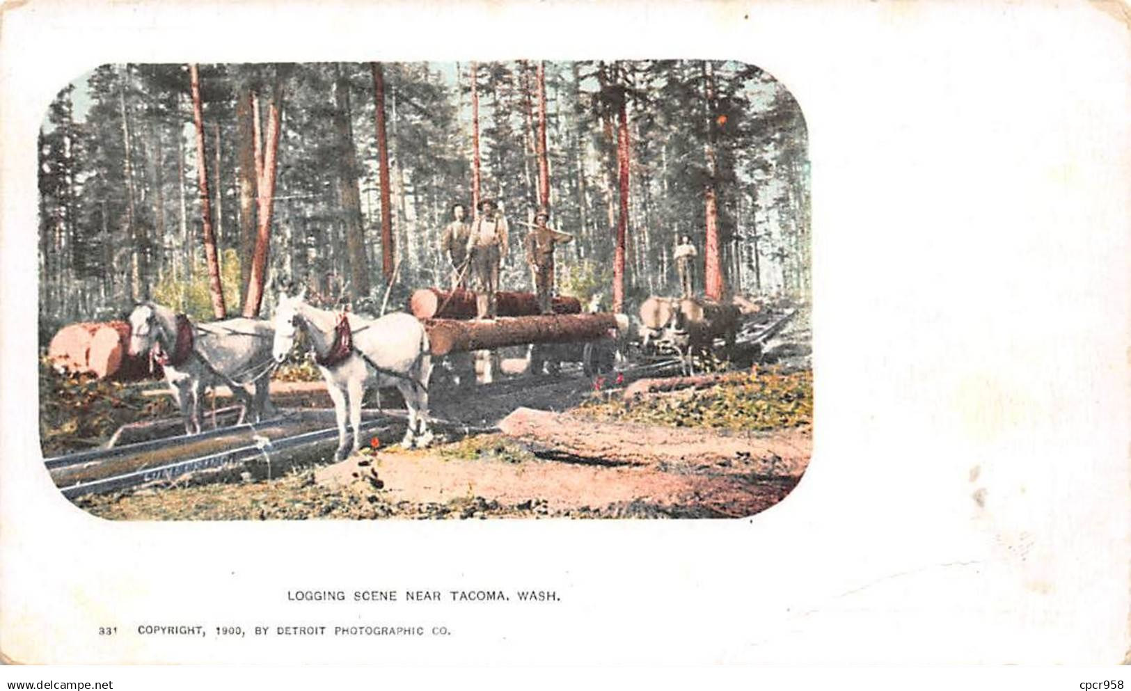 ETATS UNIS - TACOMA - SAN43074 - Logging scene near Tacoma - Wash