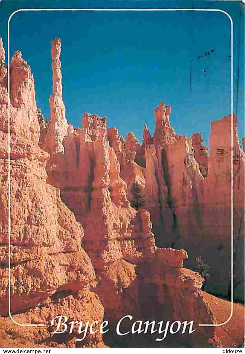 Etats Unis - Utah - Bryce Canyon - CPM - Voir Scans Recto-Verso