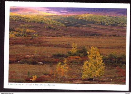 AK 001539 USA - Alaska - Landschaft bei Finger Mountain