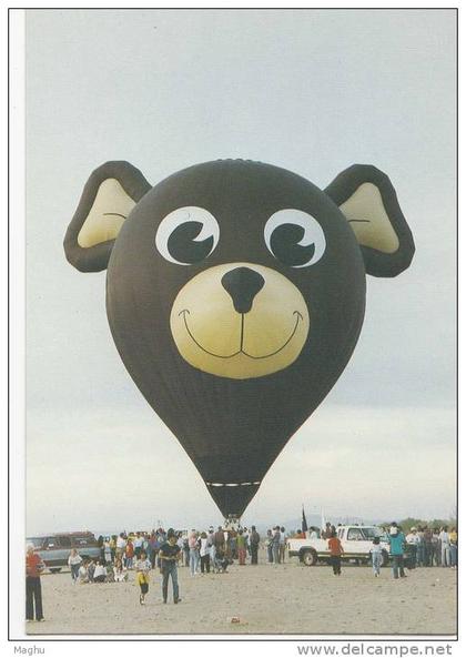 Hot Air Balloon Festival, Bear Shape, Albuquerque, New Mexico, Sport, Celebration, Entertainment,