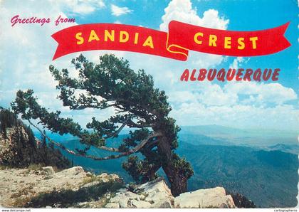 USA Albuquerque NM greetings from Sandia Crest