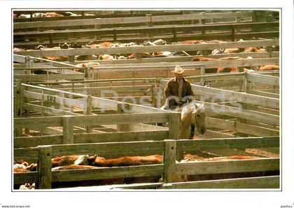 Amarillo - Cattle in the corral - horse - A1 - USA - unused