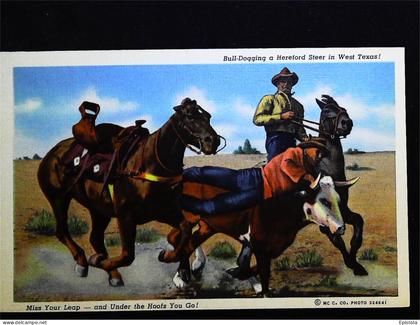 ►  Cowboy's  Bull-Dogging  - Carte fine recto verso provenance carnet  Amarillo West Texas. 1930s