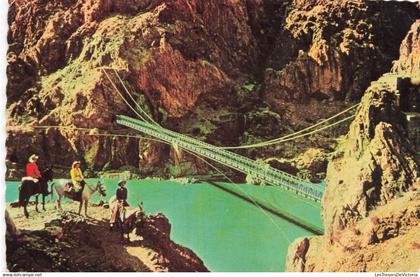 ETATS UNIS - Arizona - Kaibab - Parc National Du Grand Canyon - Animé - Colorisé - Carte postale ancienne