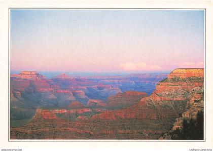 ETATS-UNIS - Arizona - The Grand Canyon - Considéré comme l'une des merveilles du monde - Carte Postale Ancienne