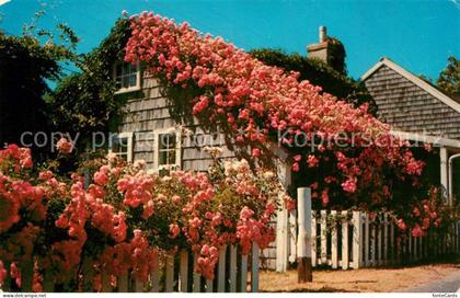 73060701 Cape Cod Mass. Rose Covered Cottages Cape Cod Mass.