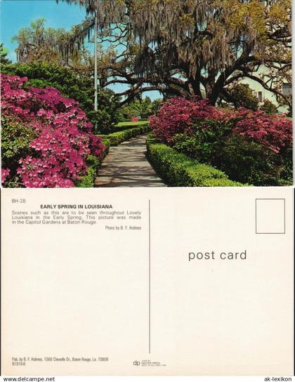 Postcard Baton Rouge EARLY SPRING IN LOUISIANA USA 1970